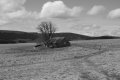 thierry_p   bergerie dans laubrac